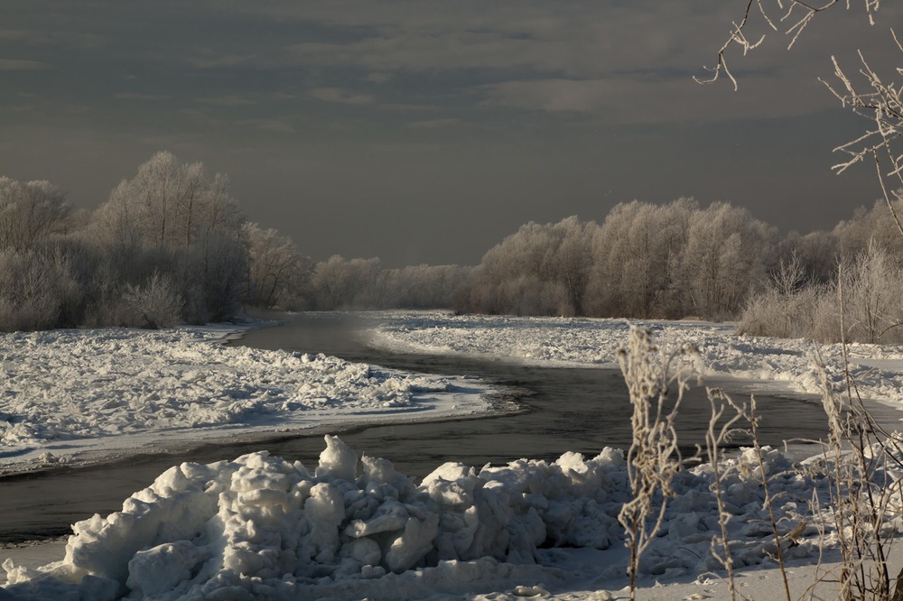 Морозный день