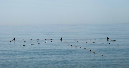 трое в море... :-)