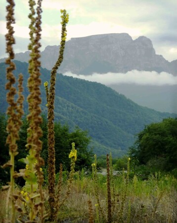 Столовая гора