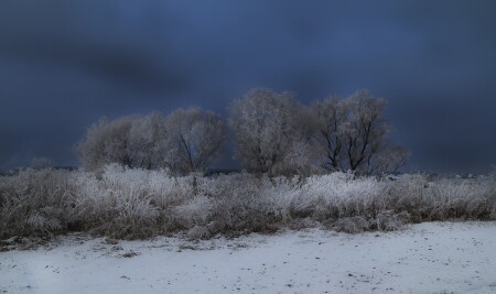 Зимним днём