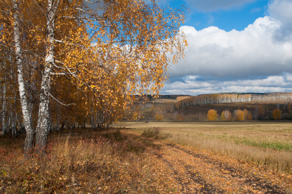 Осенняя