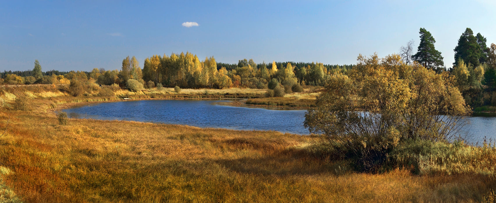 Светлый день осенний