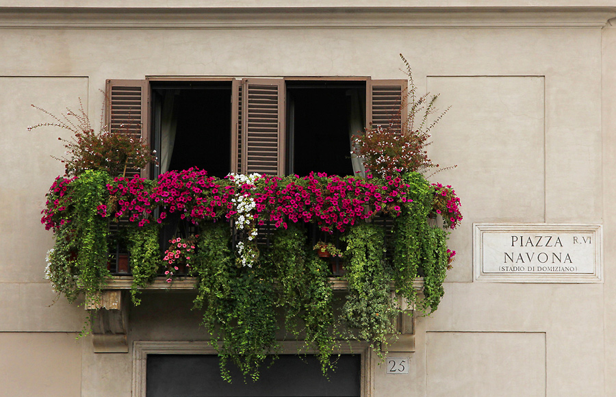 Piazza Navona