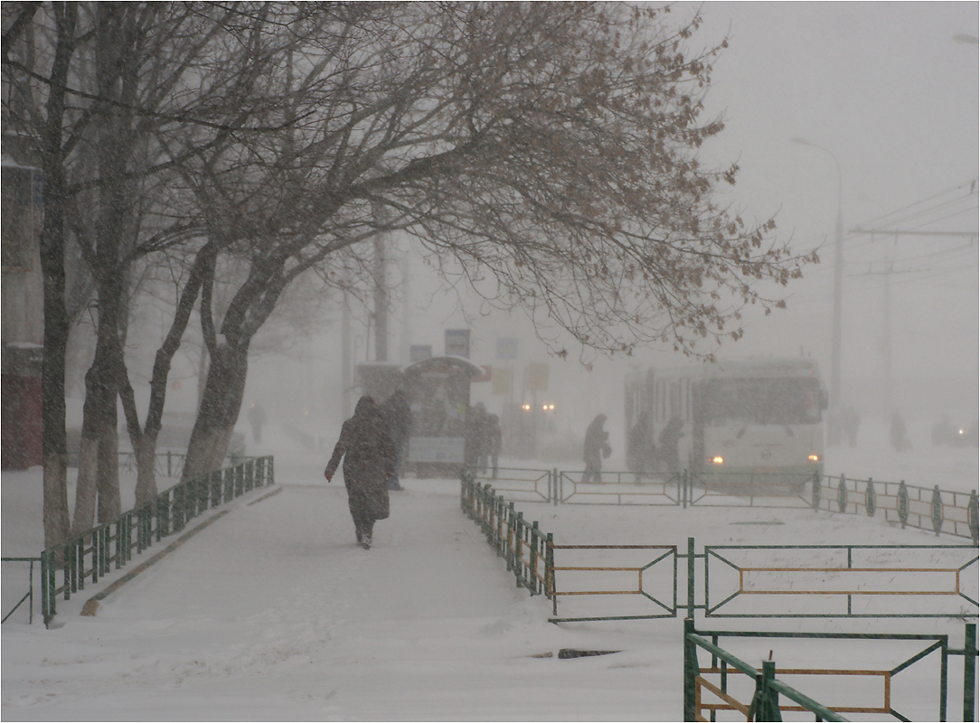 Москва 2014 года.