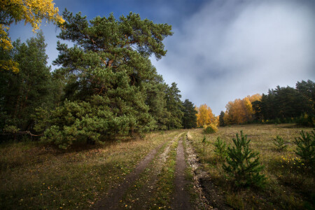 За осенней красотой