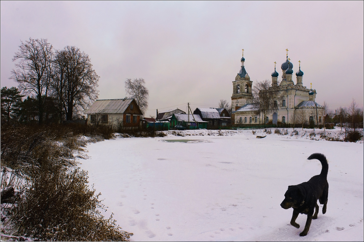 Черный пес у пруда в Жестылёво