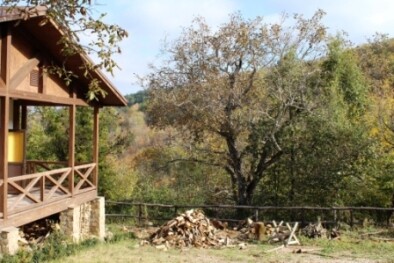 домик в деревне