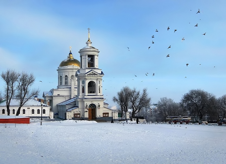 Покровский собор (Воронеж)