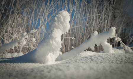 &amp;quot;Гость из будущего&amp;quot;