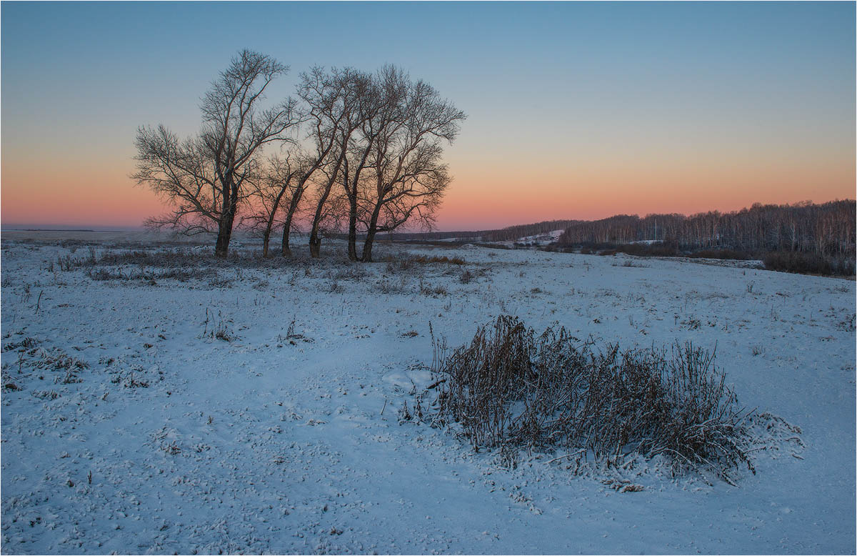 Сумерки