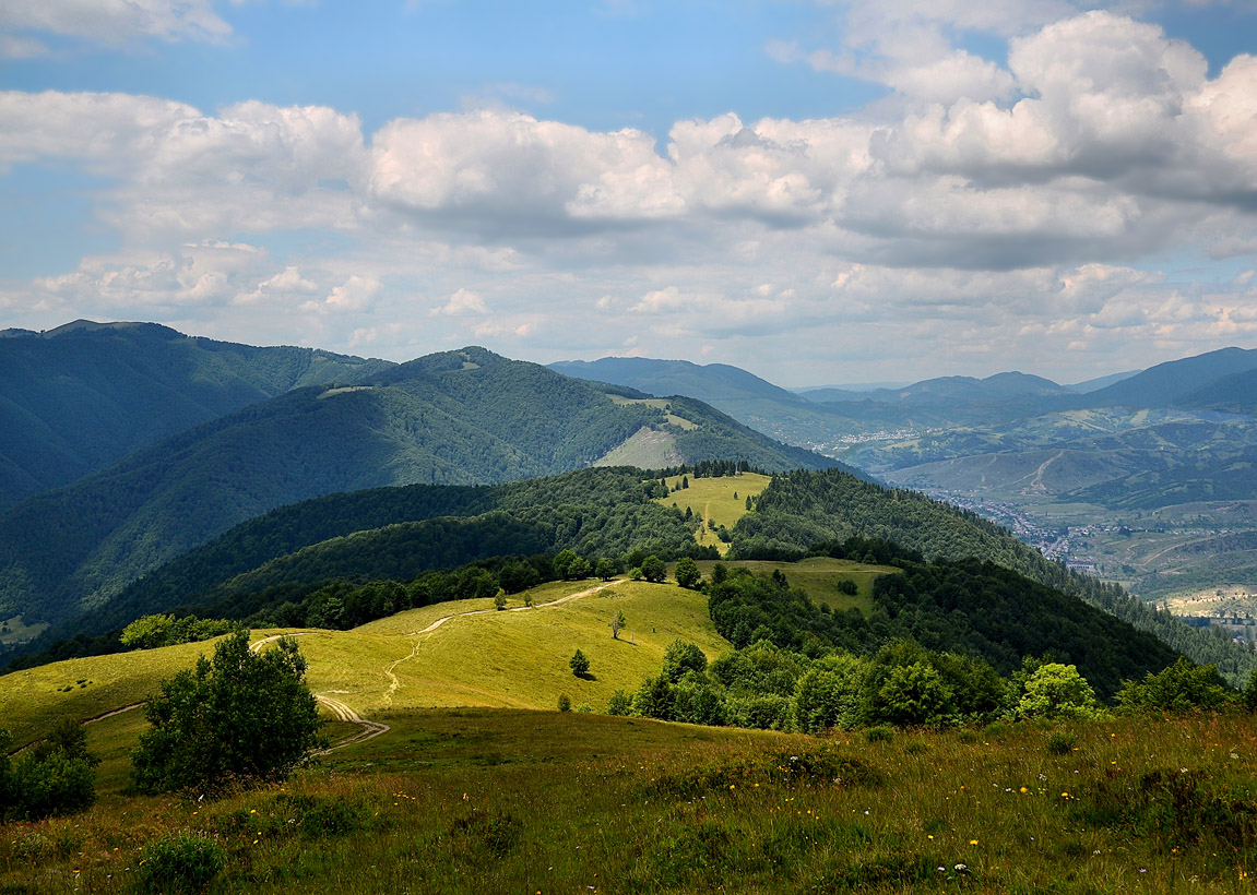 Луг под облаками