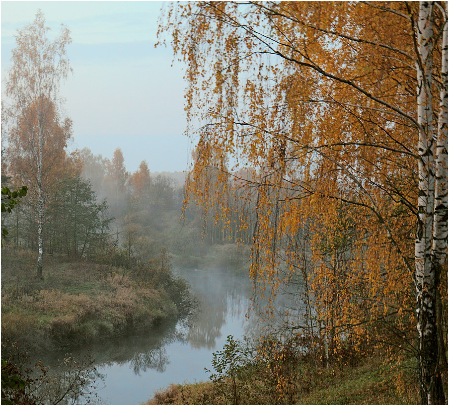 Тихое утро