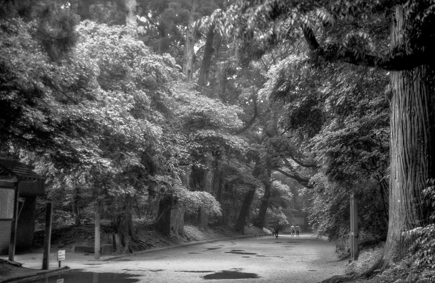 Kashima shrine park