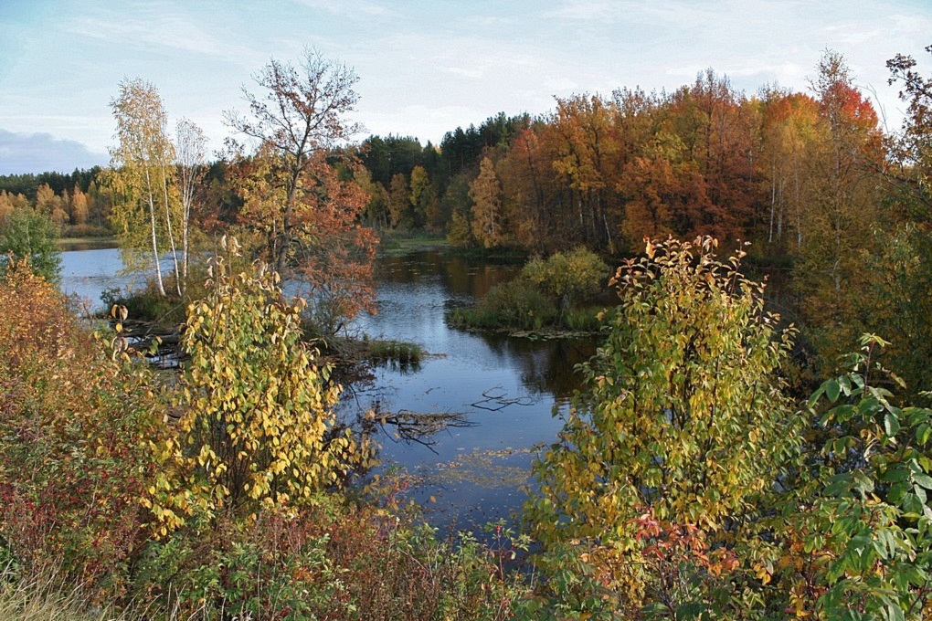 Осенняя картинка.