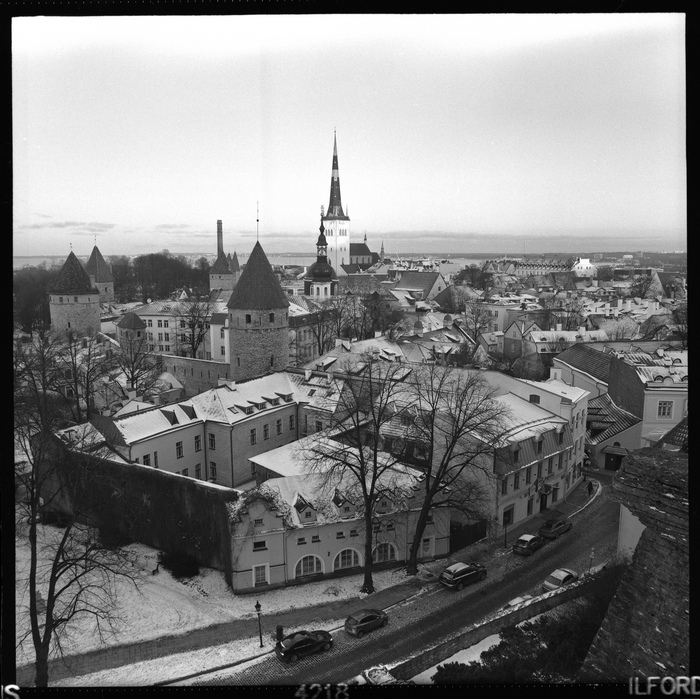 Tallin