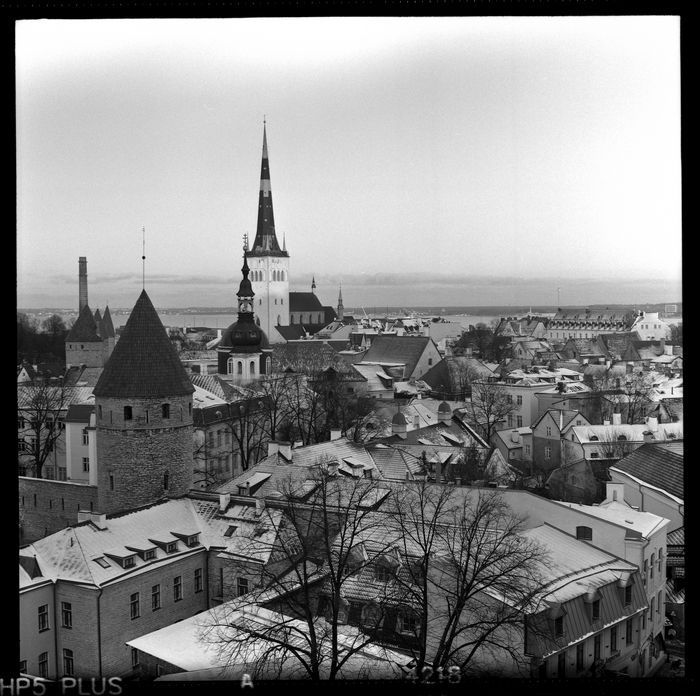 Tallin