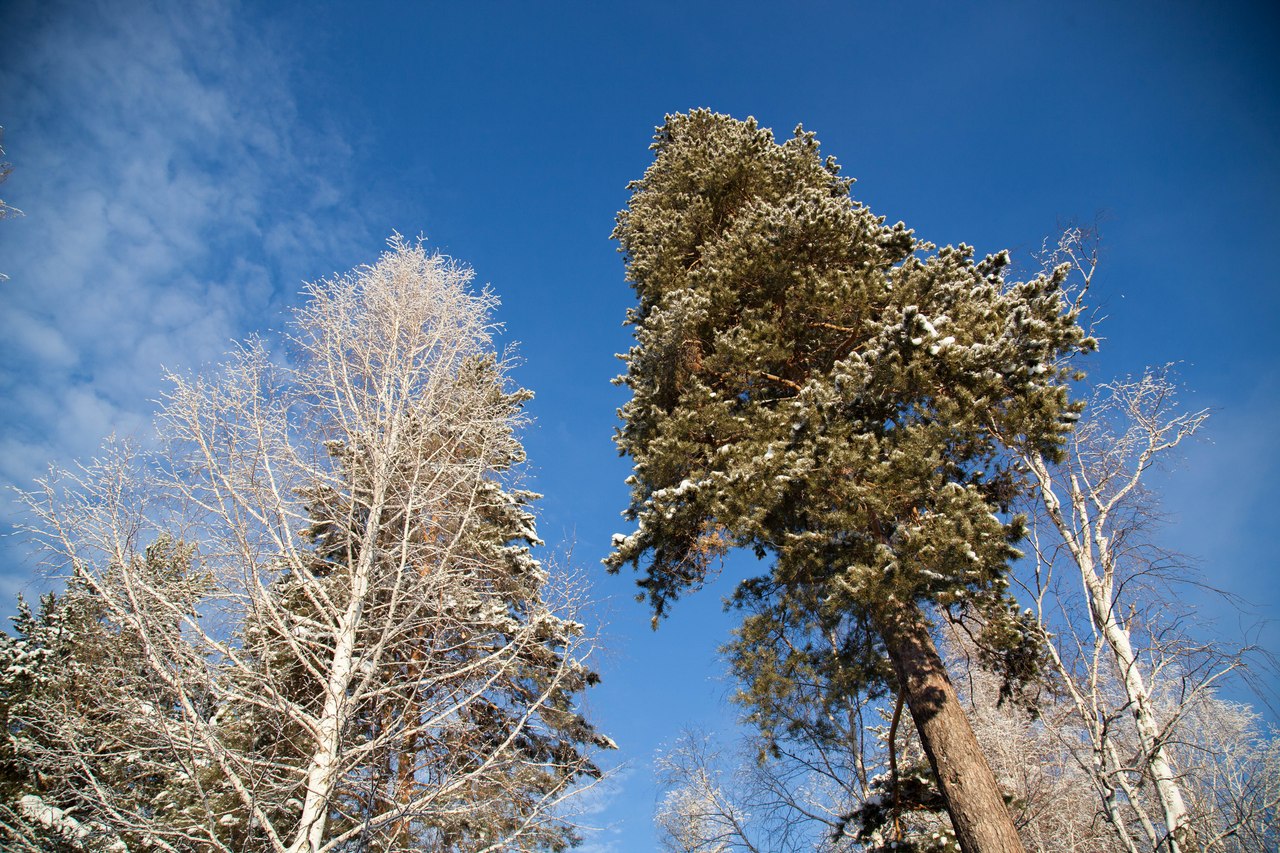 Зима Уральская