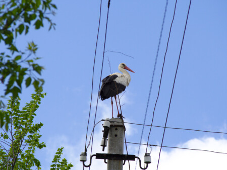 Подзарядка