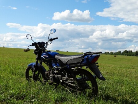 Конь в поле