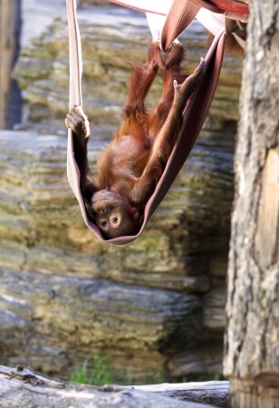 Другая точка зрения