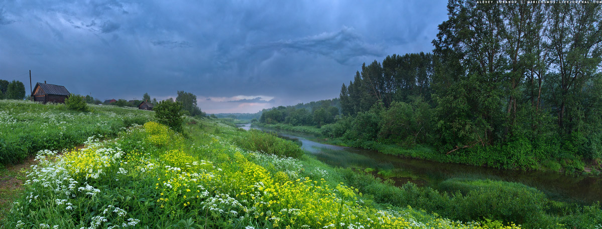 Перед грозой