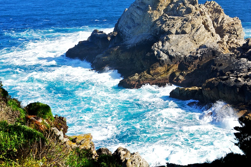 Point Lobos