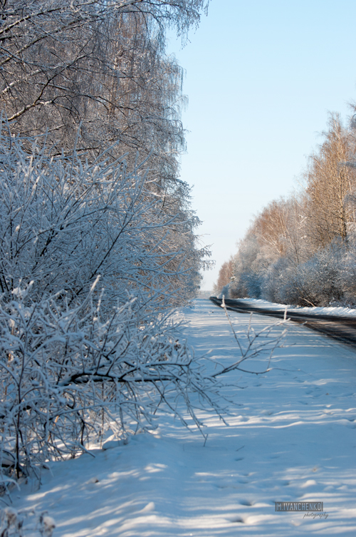 Дорога в никуда