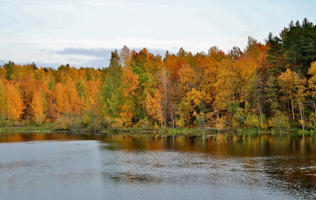 Чарующие краски осени