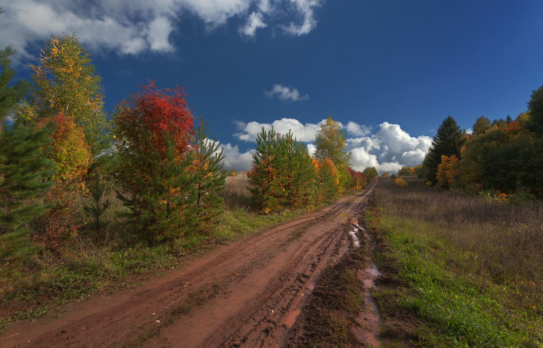 По красочной дороге