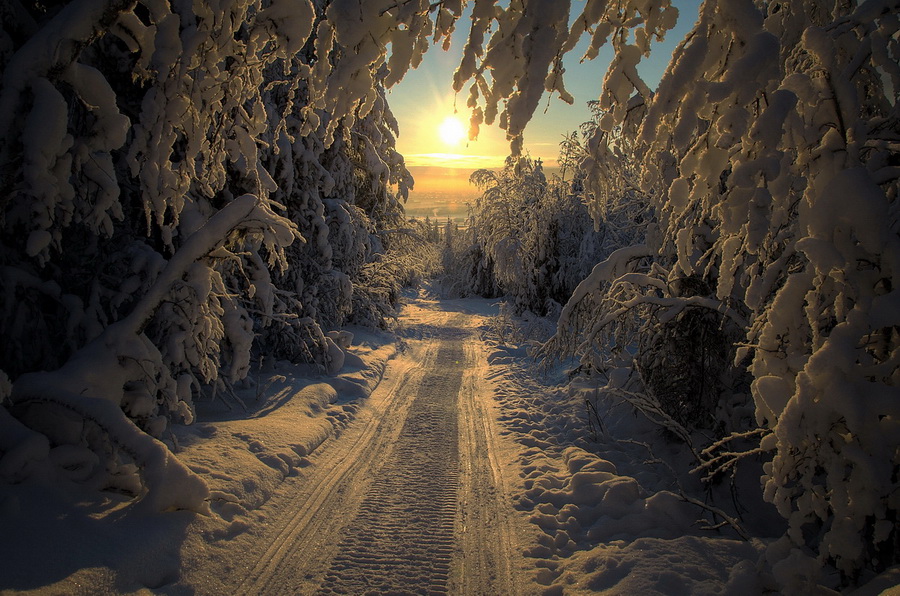 Барсовка