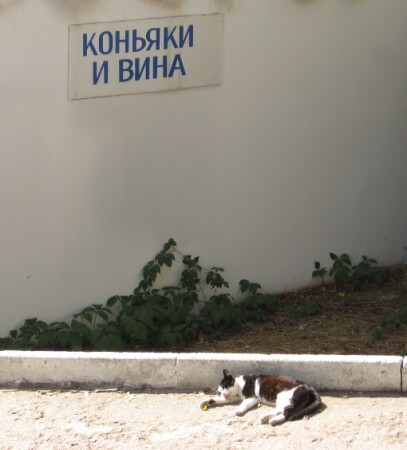 Нализался