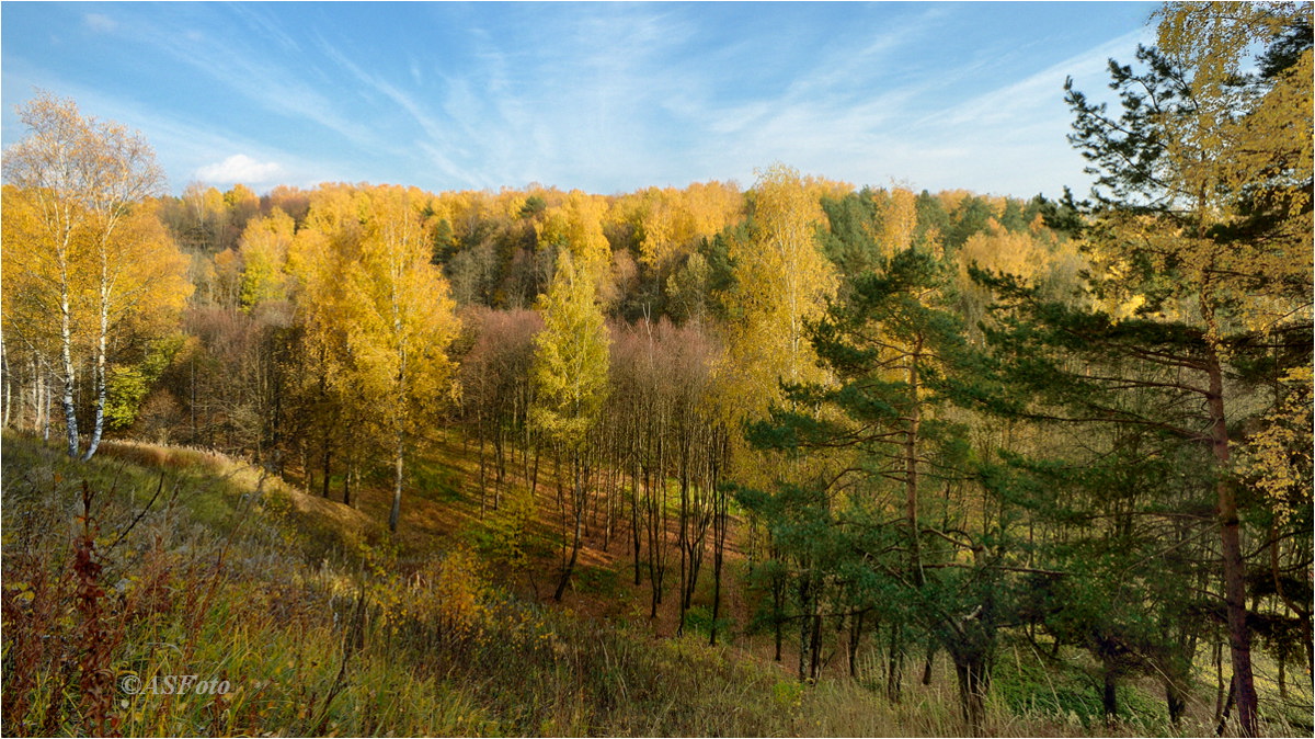 У оврага.