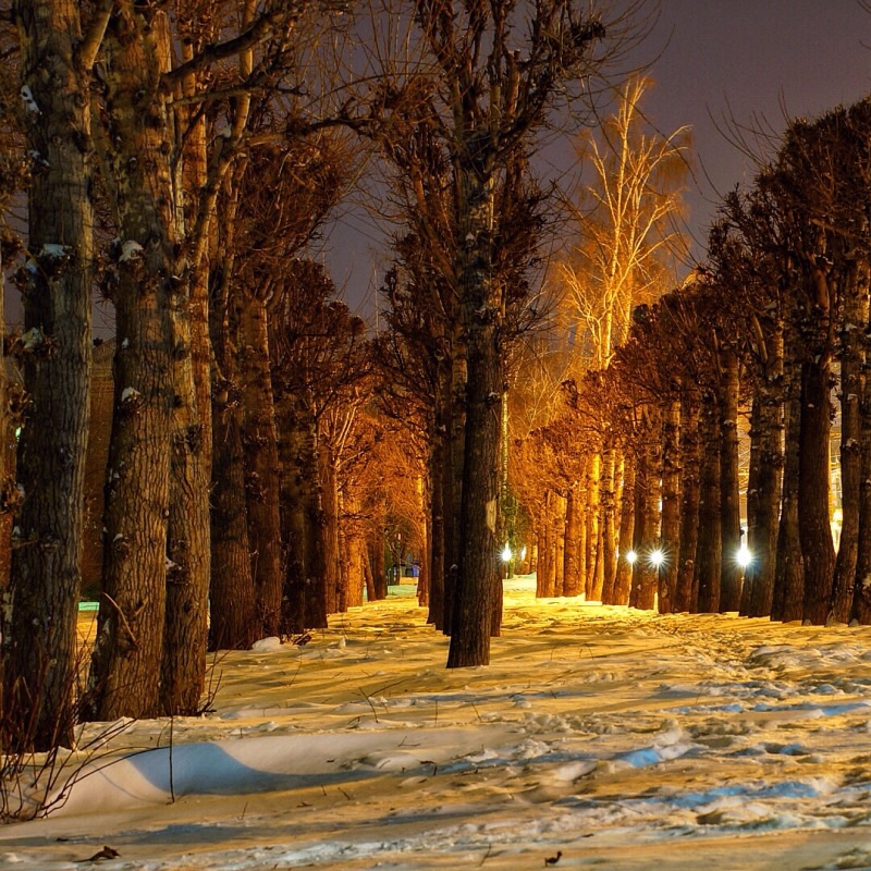 Вечерняя прогулка