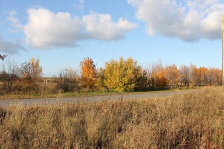 Природа моего любимого города