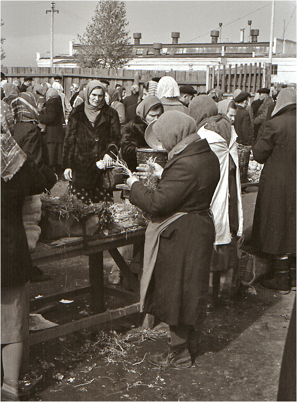 Тула 1962 год.