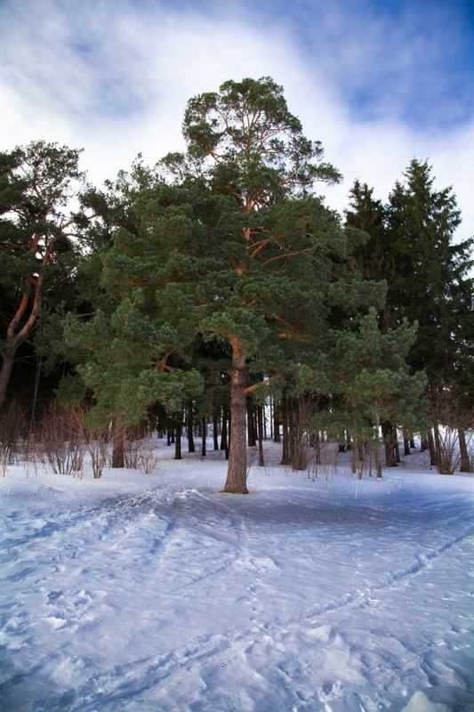 Звенигород