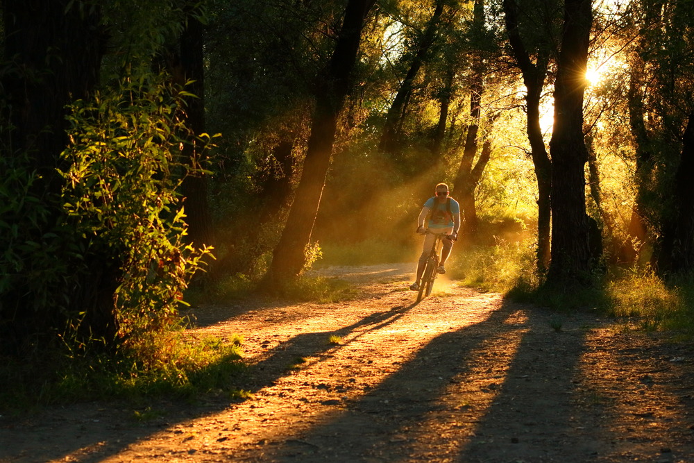 Goldenhour bicycling