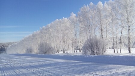 Зимние кружева