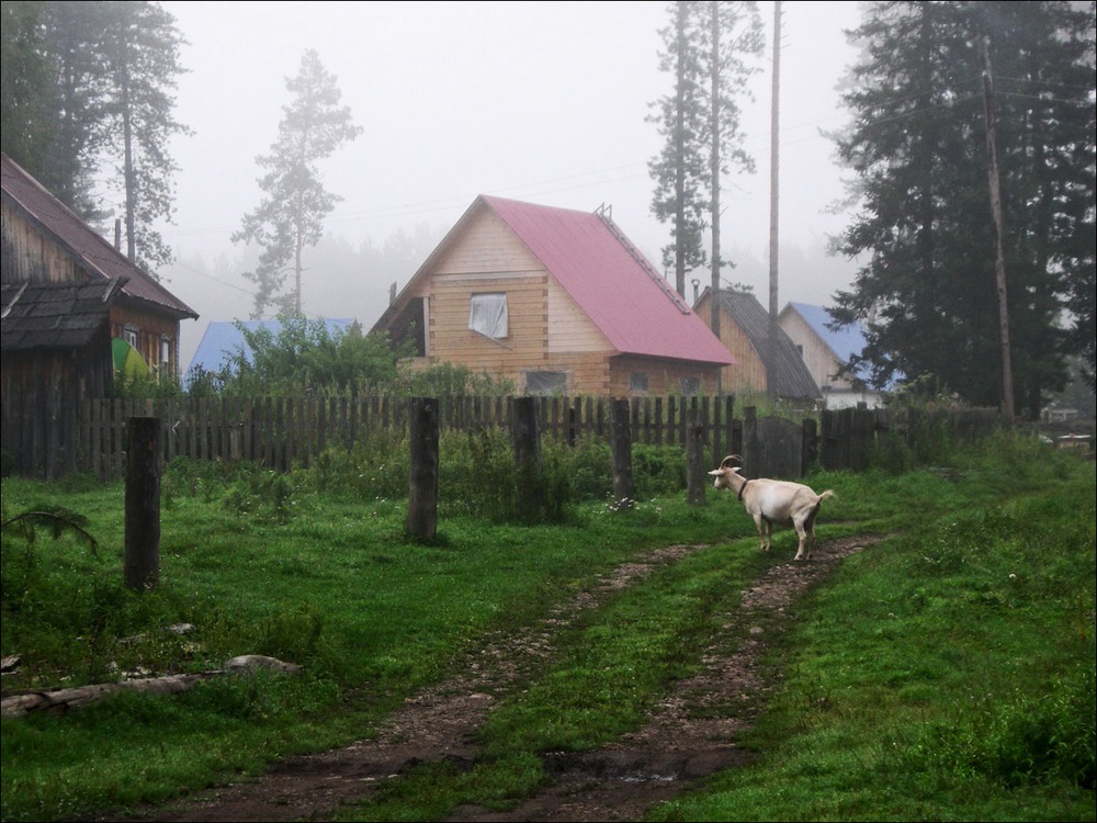 Деревенское утро