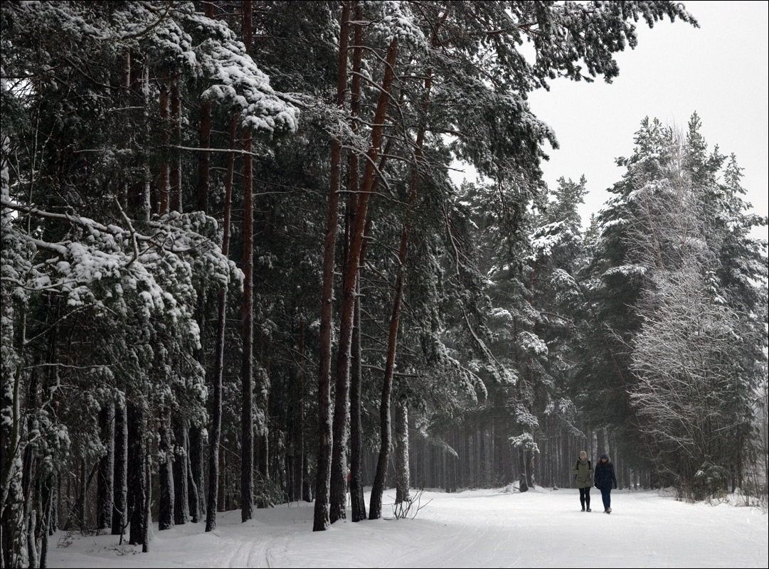 Прогулка