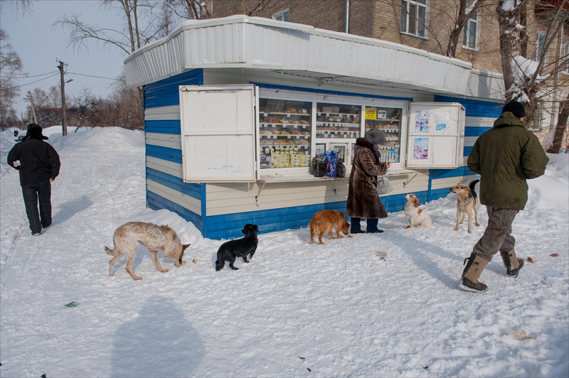 никогда не оскудеет