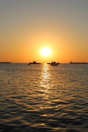 Боновые ворота