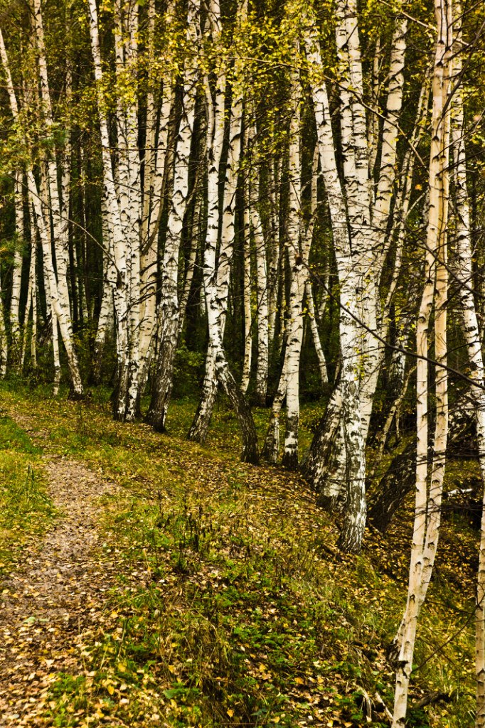 Вальс