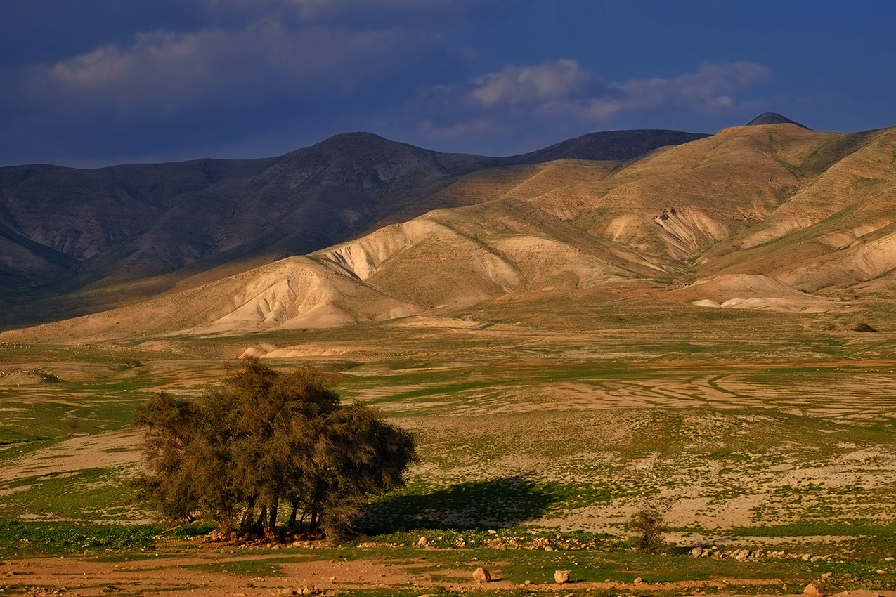 Samaria (Shomron)