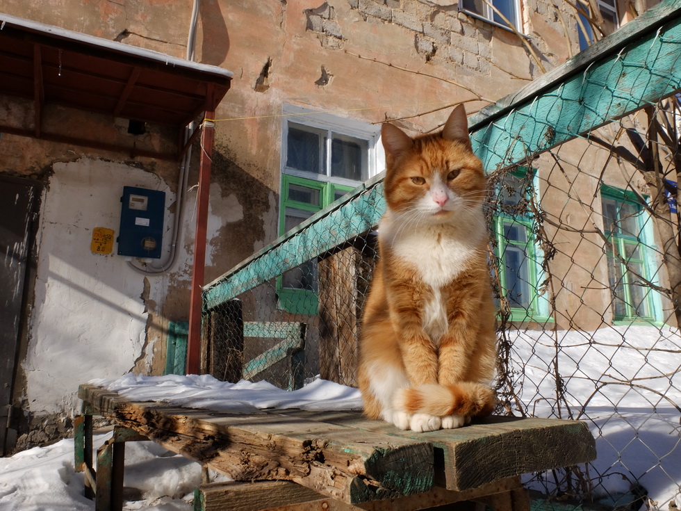 Скоро весна. Старый двор.