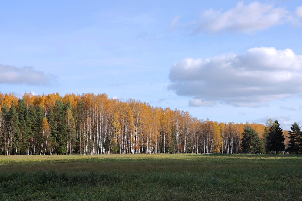 Осень.