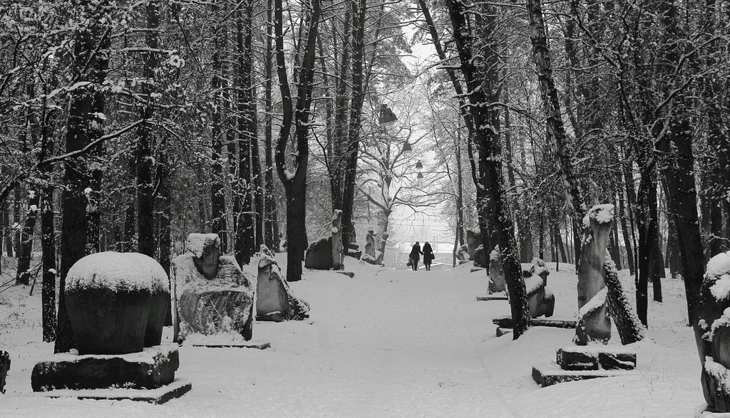 Кружева серебряных аллей