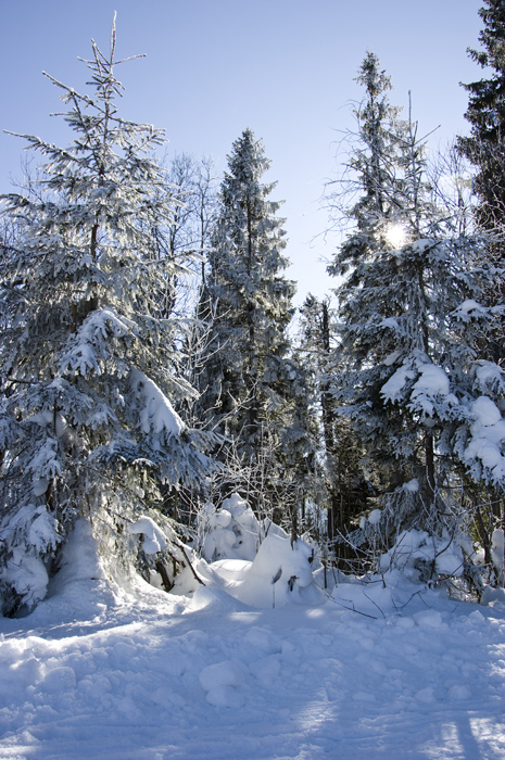 Разукрасилась Зима....