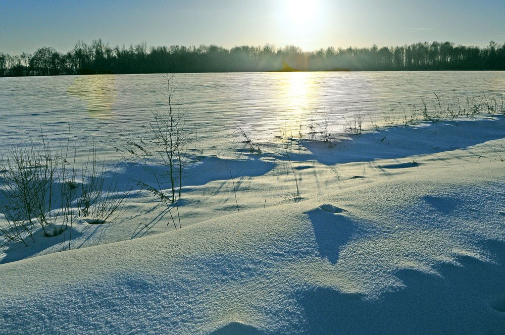 Белое безмолвие