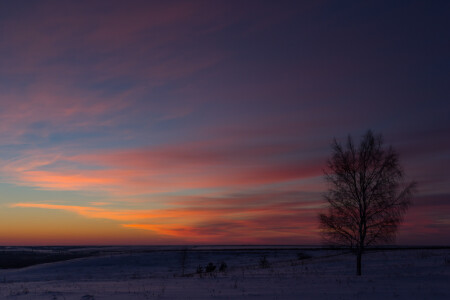 Февральский закат